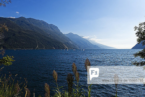 Italy  Trentino  Riva del Garda  Mountains and lake Garda with grass in foreground