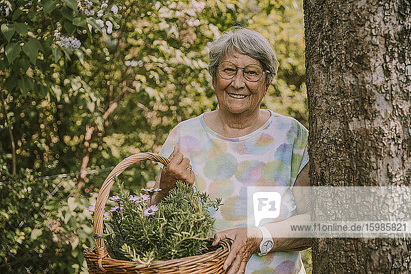 Lächelnde ältere Frau im Ruhestand  die einen Korb mit Blumen und Kräutern hält  während sie an einem Baum im Garten steht