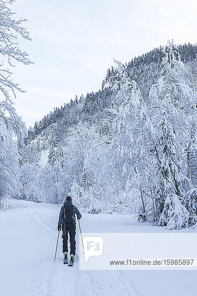 Germany  Bavaria  Reit im Winkl  Female backpacker skiing in winter forest