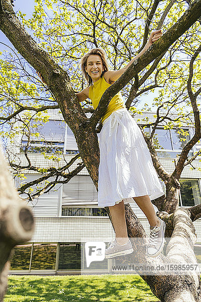 Porträt einer glücklichen Frau  die auf einem Baum in einem Park steht