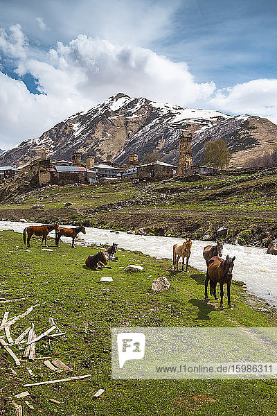Georgia  Svaneti  Ushguli  Horses grazing along bank of Enguri River with medieval village in background