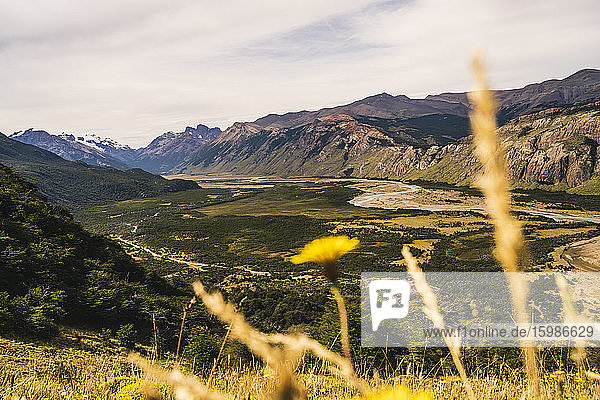 Argentina Forested plateau in spring