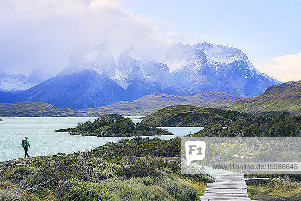 Chile  Provinz Ultima Esperanza  Männlicher Rucksacktourist beim Wandern entlang des Ufers des Pehoe-Sees mit den Cuernos del Paine im Hintergrund