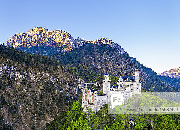 Deutschland  Bayern  Hohenschwangau  Drohnenansicht von Sauling und Schloss Neuschwanstein