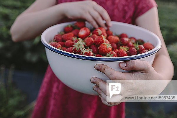 Mittelteil eines Mädchens  das Erdbeeren in einer Schüssel im Hinterhof hält