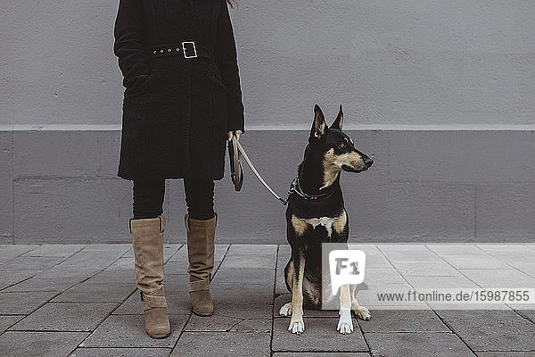 Niedriger Teil einer Frau mit Hund auf einem Fußweg in der Stadt