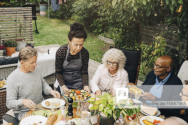 Frau serviert gegrilltes Essen für ältere Freunde die während der Dinnerparty im Hinterhof am Esstisch sitzen
