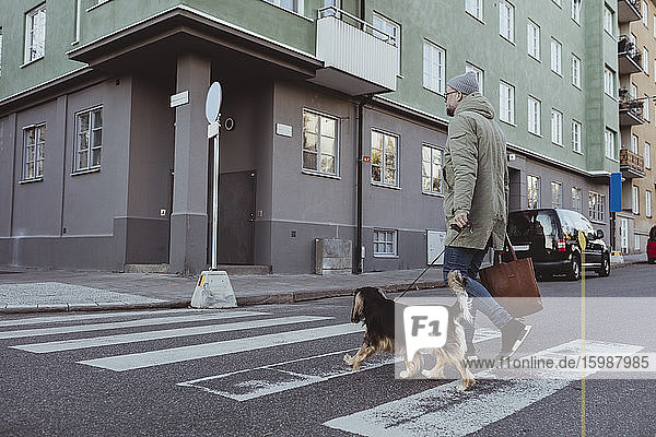 Mann in voller Länge mit Hund über die Straße in der Stadt