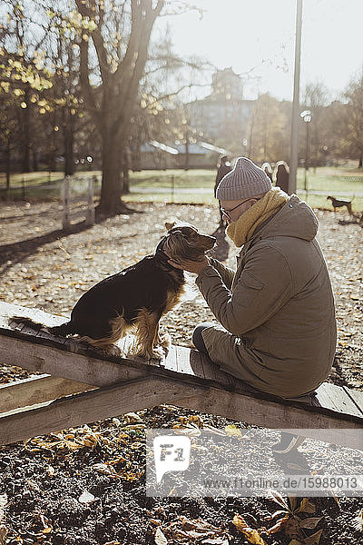 Seitenansicht eines Mannes  der sich mit einem Hund verbindet  während er im Herbst im Park sitzt