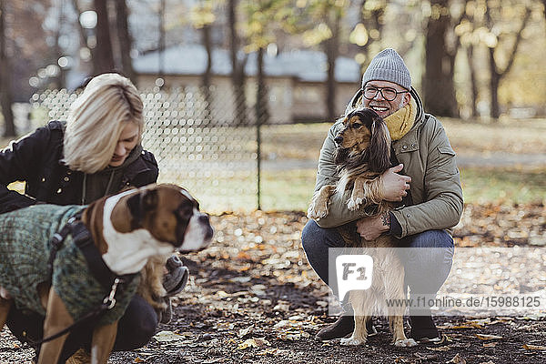 Lächelnder Mann kauert  während er ein Haustier umarmt und eine Frau mit Boxerhund anschaut
