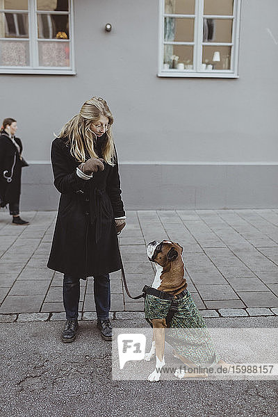 Junge Frau in voller Länge mit Boxerhund gegen Gebäude in der Stadt stehend