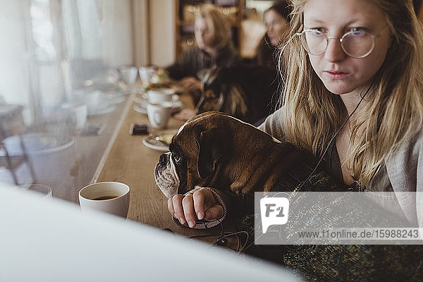 Junge Frau sitzt mit Boxerhund und benutzt Laptop im Café