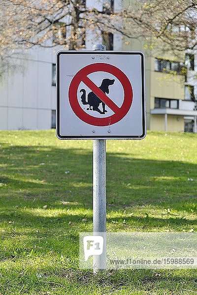 Verbotsschild Verbot von Hundekot Hundehaufen Wiese einer Wohnanlage München Bayern Deutschland Europa