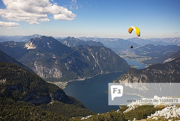 Paraglider am Krippenstein mit Hallstättersee  Hallstatt  Salzkammergut  Oberösterreich  Österreich  Europa
