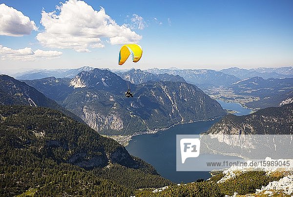 Paragliding on the Krippenstein with Hallstättersee  Hallstatt  Salzkammergut  Upper Austria  Austria  Europe