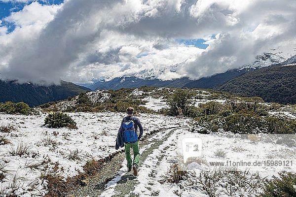 Hiker on trail to Key Summit  Routeburn Track  Fiordland National Park  Te Anau  Southland  South Island  New Zealand  Oceania
