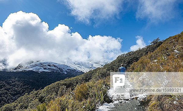 Hiker on trail to Key Summit  Routeburn Track  Fiordland National Park  Te Anau  Southland  South Island  New Zealand  Oceania