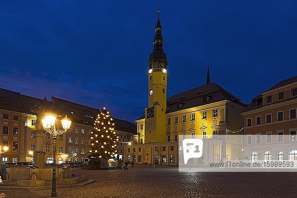 Rathaus mit geschmückten Weihnachtsbaum am Abend am Hauptmarkt  Bautzen  Oberlausitz  Sachsen  Deutschland  Europa