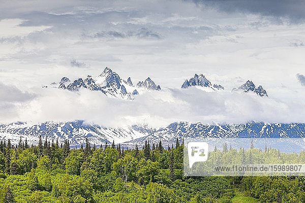 View of Foraker ounts from Parks Highway  Alaska  U. S. A.