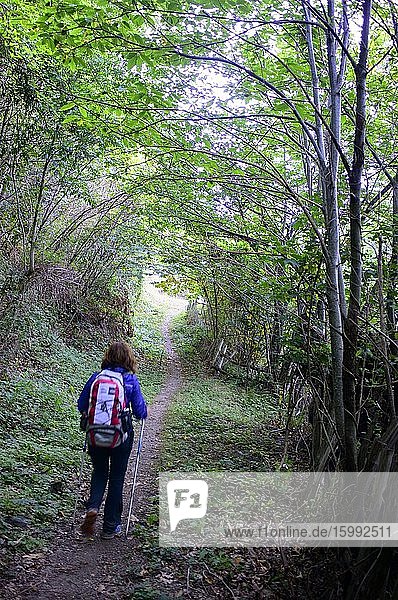 Hiker walking through the Naredo Valley and Mofusu forest  Asturias  Spain