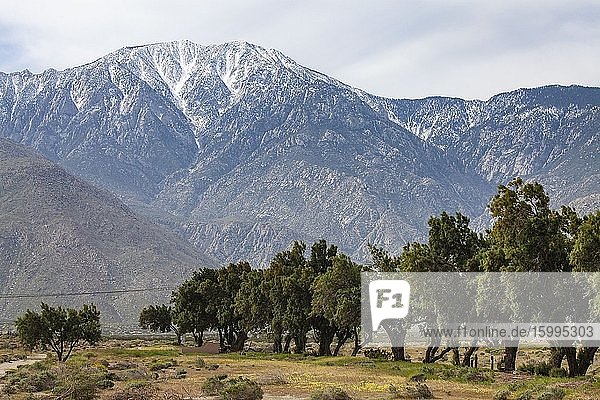 Mount San Jacinto is the highest peak in the San Jacinto Mountains. Palm Springs Riverside County California USA.