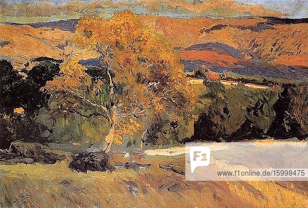 Joaqu?n Sorolla Y Bastida - Yellow Tree L Granja 1906.