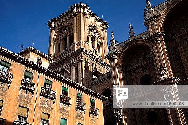 Cathedral in Pasiegas square. Granada.