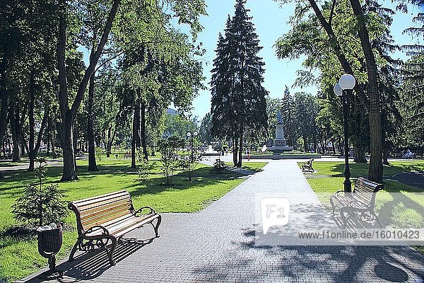 Beautiful city park with promenade path benches and big green trees. City park in summer. Place for stroll. Empty bench in city park.