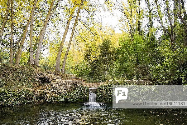 Teich mit kleinem Wasserfall inmitten des Waldes im Herbst. In Font Roja  Comunidad Valenciana  Spanien...