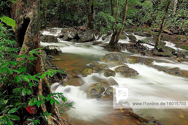 Flusslauf in der Stadt Serian  Kuching  Sarawak  Malaysia  Borneo.