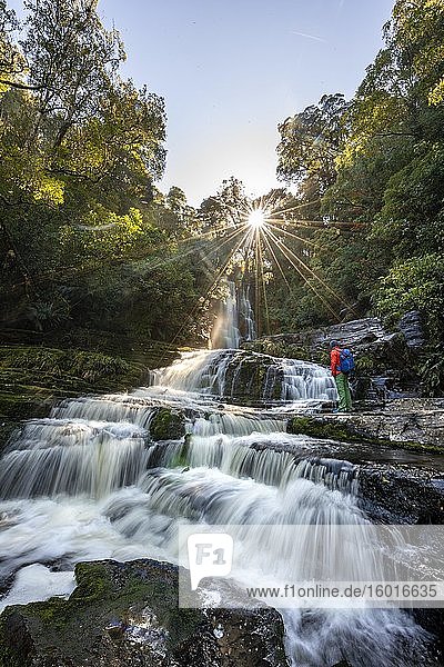 Hiker at McLean Waterfall  Sun Star  Catlins  Otago  South Island  New Zealand  Oceania