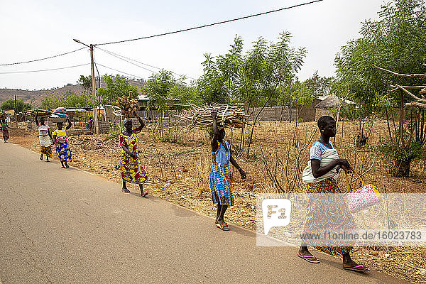 Frauen tragen Taschen und Brennholz in Korbongou  Togo