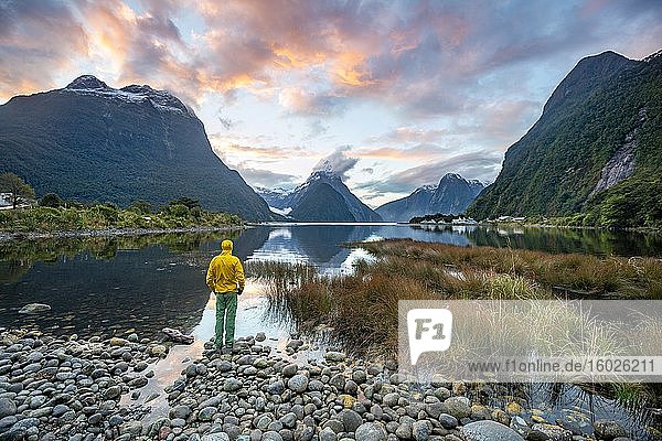 Young man looking at Fjord  Mitre Peak  Sunset  Milford Sound  Fiordland National Park  Te Anau  Southland  South Island  New Zealand  Oceania