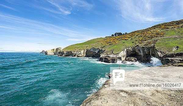 Angler an der Küste  Felsige Steilküste aus Sandsteinfelsen  Tunnel Beach  Otago  Südinsel  Neuseeland  Ozeanien
