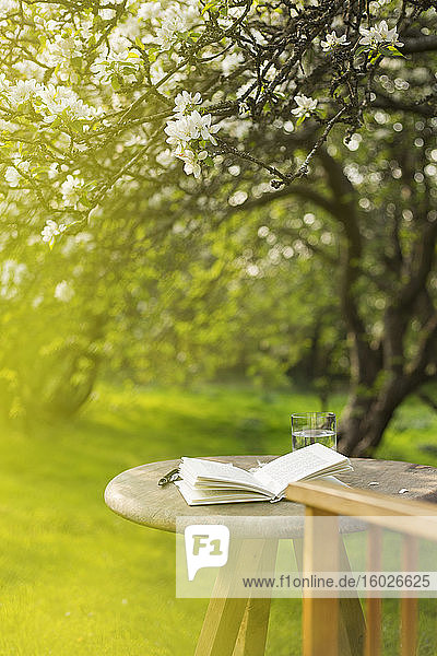 Offene Zeitschrift auf dem Tisch im sonnigen idyllischen Garten