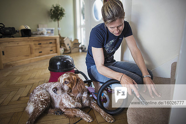 Frau mit Hund staubsaugt Teppich auf der Treppe