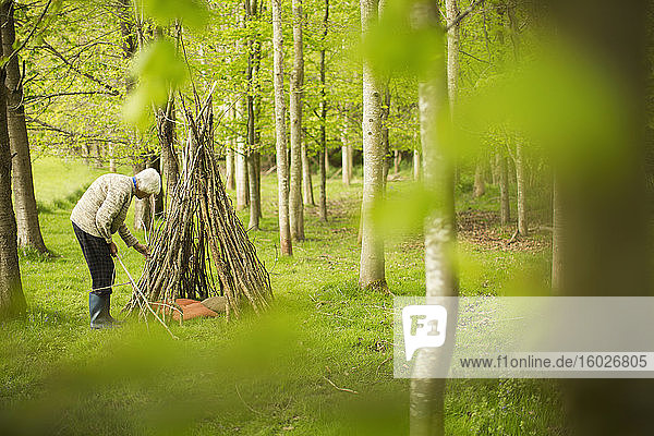 Ältere Frau  die ein Ast-Tipi im Wald herstellt