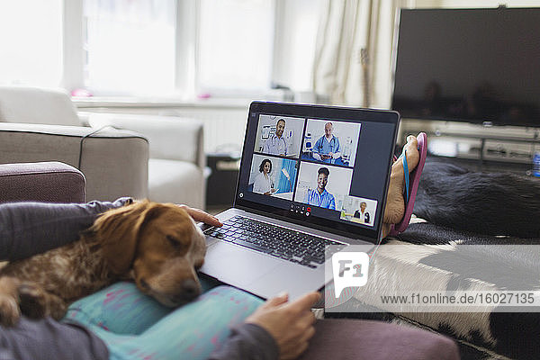 Dog sleeping on woman with laptop video chatting with doctors