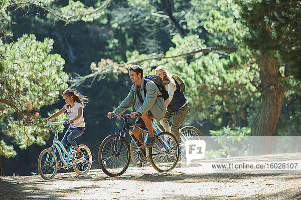 Familienradfahren in Wäldern