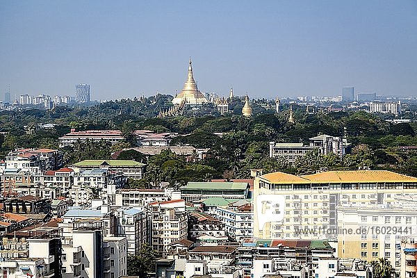 Die Skyline von Yangon  Yangon  Myanmar.