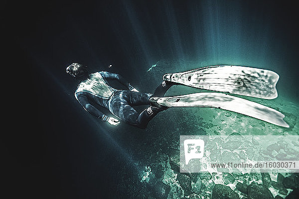 Hochwinkel-Unterwassersicht eines Tauchers mit Taucheranzug und Schwimmflossen  Sonnenlicht wird von oben durchgelassen.