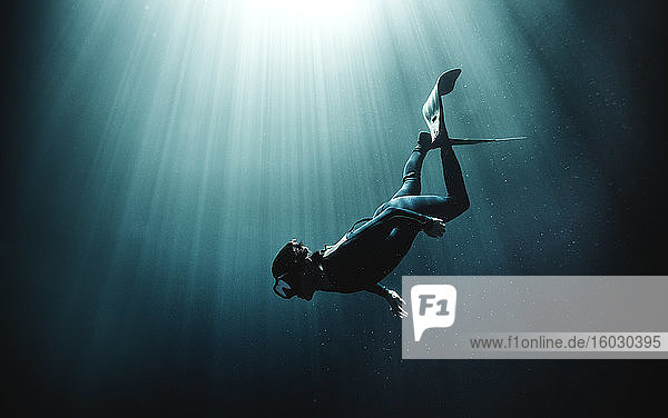 Unterwasseraufnahme eines Tauchers mit Taucheranzug und Schwimmflossen  Sonnenlicht von oben durchgelassen.