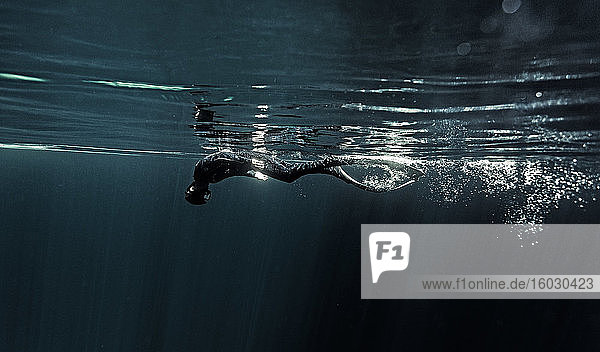 Unterwasseraufnahme eines Tauchers im Taucheranzug und mit Schwimmflossen  der knapp unter der Wasseroberfläche taucht.
