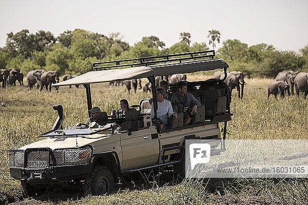 Ein Jeep mit Passagieren  die Elefanten beobachten  die sich am Wasserloch versammeln.