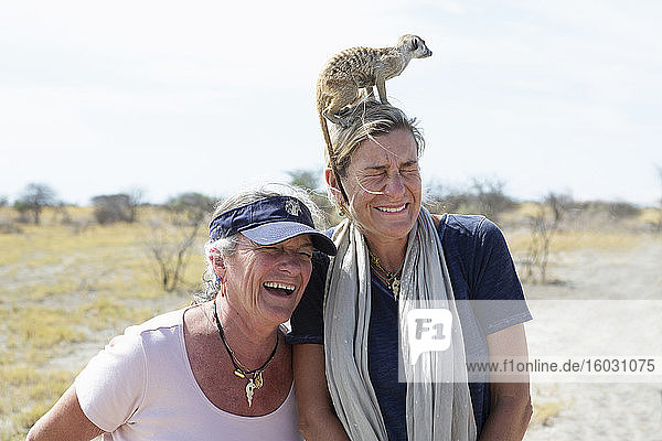 adult woman with Meerkat on her head  Kalahari Desert  Makgadikgadi Salt Pans  Botswana