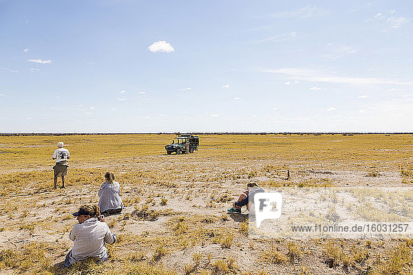 tourists looking at Meerkats  Kalahari Desert  Makgadikgadi Salt Pans  Botswana