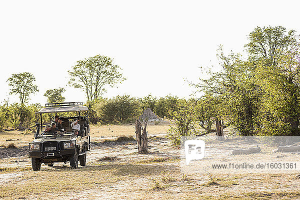 A jeep with passengers observing a pair of lions resting in a game reserve