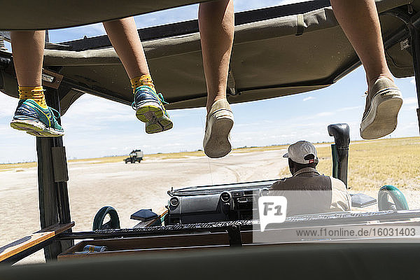 Ein Safari-Fahrzeug  eine Person auf dem Fahrersitz und zwei Sätze baumelnder Beine der Passagiere auf der Beobachtungsplattform.
