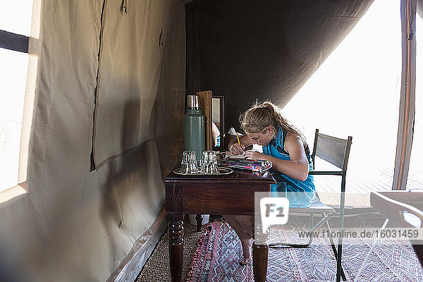 A twelve year old girl seated at a desk in a tent at a wildlife reserve camp  drawing.