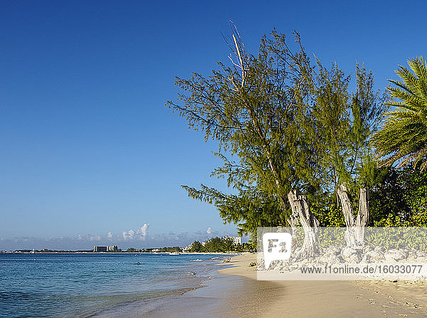 Seven Mile Beach  George Town  Grand Cayman  Kaimaninseln  Karibik  Mittelamerika